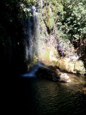 merchigonloce's profile picture. Especialista en dar favs.