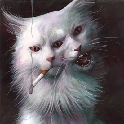 Vasilisa_Vsegda's profile picture. #gallavich #stydia #sterek #phan #malec #mormor #frerad #jonlock #cherik #larry ага, вот эти ребята... каждый день разбивают мне сердце