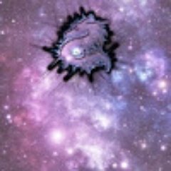 ImaAnimalさんのプロフィール画像