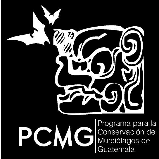 ZotzPcmg's profile picture. Iniciativa sin ánimos de lucro, dedicada a la Investigación, Educación Ambiental y Conservación de los murciélagos de Guatemala. IG📸: @zotz.pcmg
