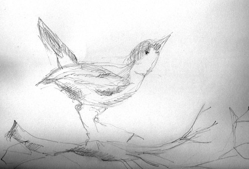 pidgeon's profile picture. artist, human mom, dog mom, educator, hobby home cook, gardener, professional worrier