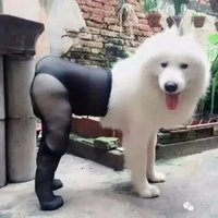 查无此人 (@bianrannan) 's Twitter Profile