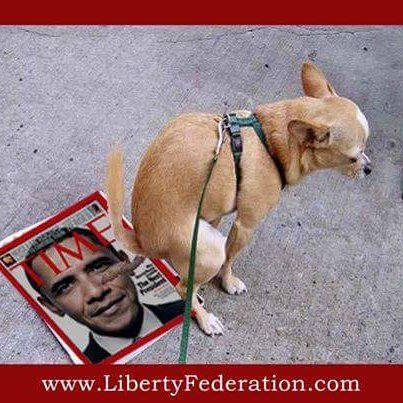 LoriSheldon56's profile picture. 