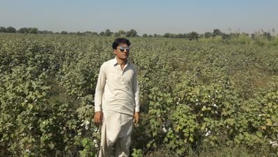 PrinceK73966242's profile picture. Love allah