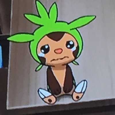 ぽっけん 千葉go ゴースさん ハロウィンだからっていたずらはやめてくださいww 天井の壁抜け落ちて水バッシャーン 部屋 水浸し O 今起きたガチな話です ポケモンgo大会 ポケモンgo