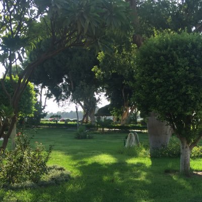 mofaq1000's profile picture. رجل يحب المعرفه ويكره الجهل ينتمي الى حزب الباحثون عن الحقيقه