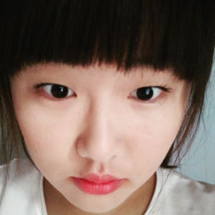 wexolove's profile picture. 