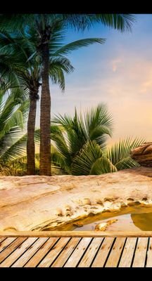 CallMasud's profile picture. 26