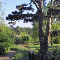 Raynes Park (@raynesprk) 's Twitter Profile