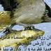 انــفاس الجـــنُة (@wenderwiczfern) Twitter profile photo انــفاس الجـــنُة (@wenderwiczfern) Twitter profile photo