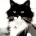 Mr. Puddy (@mrpuddy9) Twitter profile photo Mr. Puddy (@mrpuddy9) Twitter profile photo