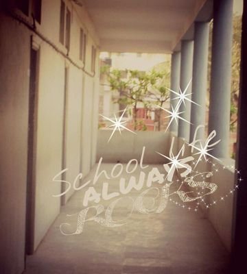 MoksheshV's profile picture. 