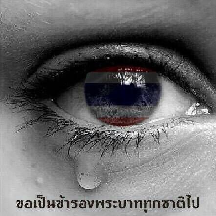 vc125134's profile picture. 