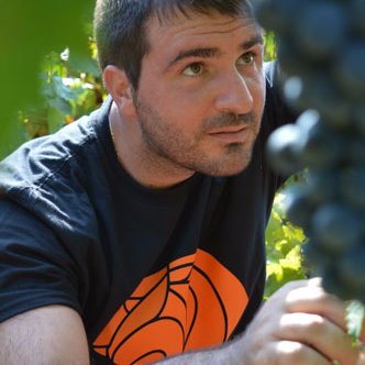 Nico100nze's profile picture. Enologo - Winemaker 🍷 Passione e professionalità #wine #vino #cultoridelvino