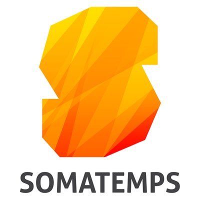 Somatemps Profile