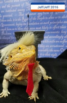 JeffJeff2016's profile picture. So ladies and gentlemen…I am officially running… for Dragon of the United States, and we are going to make our country Bearded again.
#JeffJeff2016
