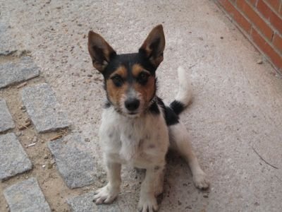 garbanzo78's profile picture. Deportes