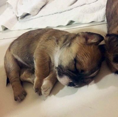 kritsadasangch2's profile picture. คิด D D นะ