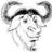 dailu's profile image