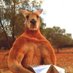 Ted Egan (@theoutbackroo) Twitter profile photo Ted Egan (@theoutbackroo) Twitter profile photo