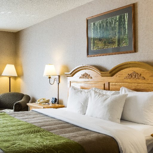 Hotel near Mount Rushmore National Monument, Custer State Park, and Crazy Horse Memorial in Custer, SD