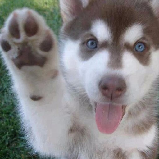 HMann_SpecialED's profile picture. 