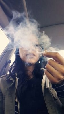 letstakeshrooms's profile picture. 🌻 XXXIII ... Thanks for your Support  💚🍊