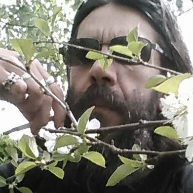 ThierryJolif's profile picture. Musicien-chanteur-parolier, celtisant, essayiste, poète, animateur radio...