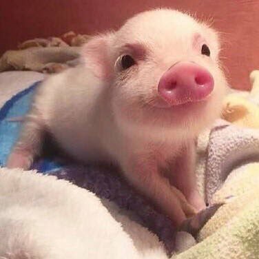 Judy67229513's profile picture. 