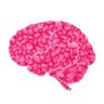 PinkConcussions's profile picture. Female Brain Injury from sport, domestic violence, accidents or military service. Katherine Snedaker, LCSW, Founder and CEO
