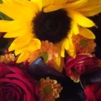 Learningtofloat 💙 (@learningtofloat) 's Twitter Profile