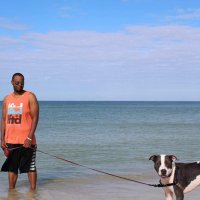 James Wonder (@droc84) 's Twitter Profile
