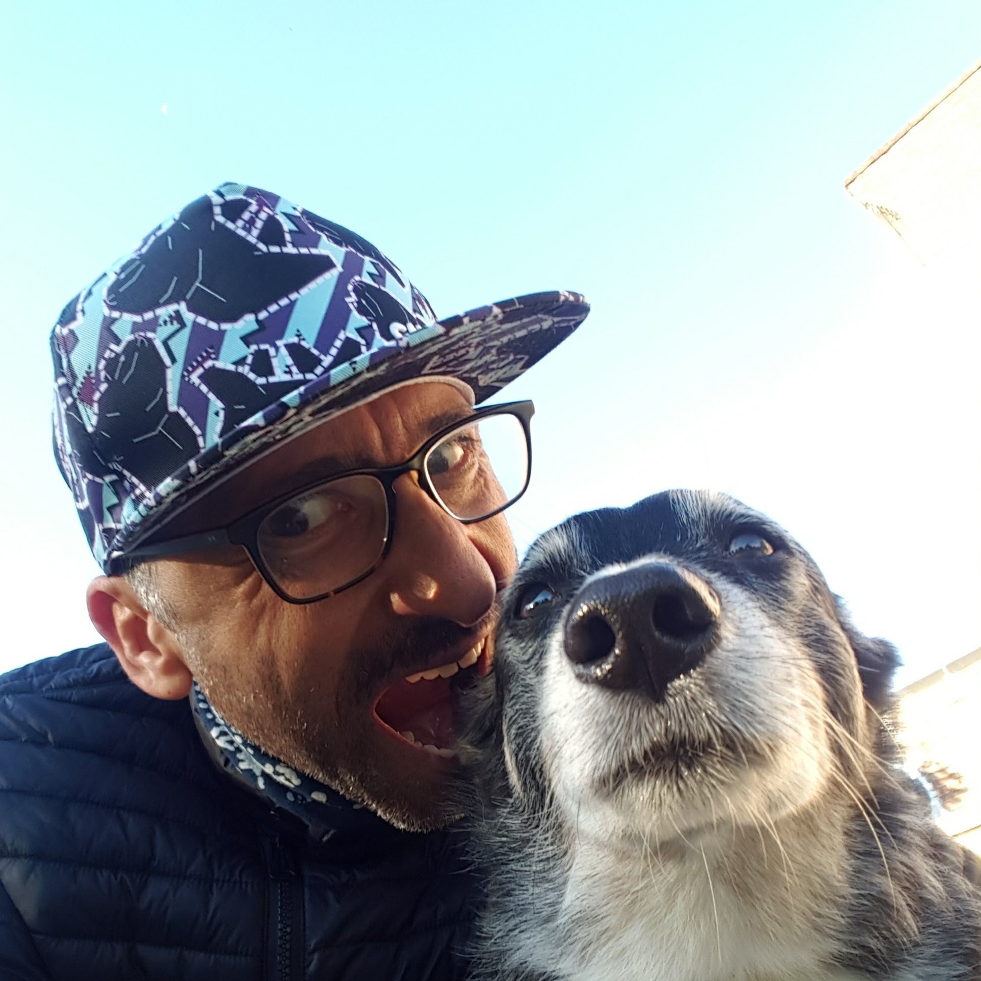 DragIvko's profile picture. 