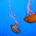 Thomas Winner - @thomaswinner719 - Twitter