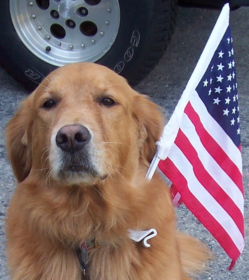 I'm a free market, conservative, 'yellow dog Reagan republican' (golden retriever); I live with jimmac and susieq