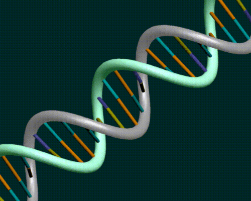 Molecular geneticist and biotech scientist from Oklahoma now in Boulder. Like genetics, biotech, innovation, and Sooner football.