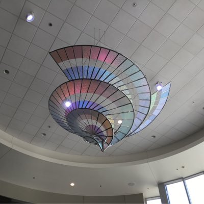 spoodleblue's profile picture. Fun,tough,living large!