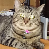irem- (@rem2943) 's Twitter Profile