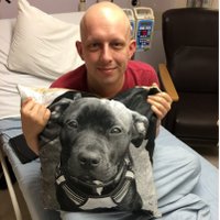 Stephen's Journey (@stephen_journey) 's Twitter Profile