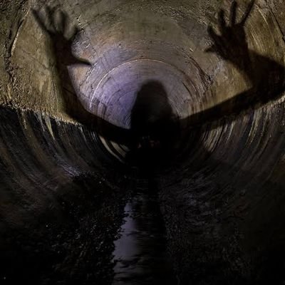 faulvar's profile picture. alkol, sigara yok. dövme sevmiyorum