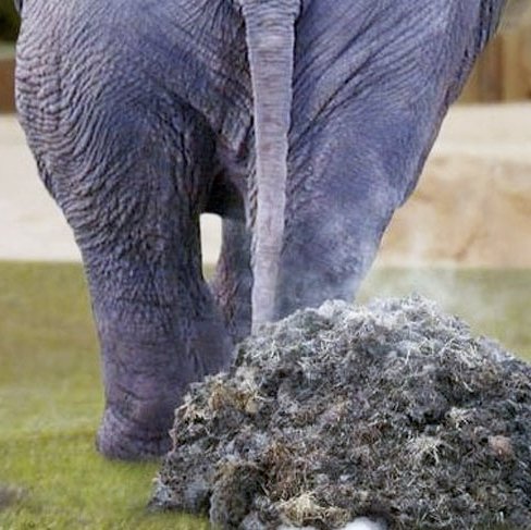 shit__day's profile picture. 