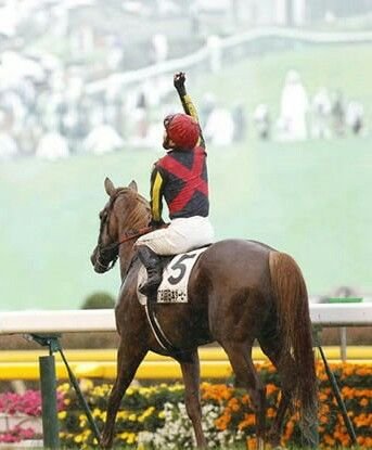 ［新設］武蔵野大学競馬サークルです。競馬、馬が好きな人あつまれー！！
性別、学年、学部･学科は問いません。
興味のある方、質問等はDMにて！