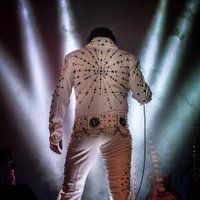 The Elvis Years (@theelvisyears) 's Twitter Profile