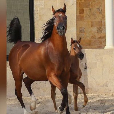 SyX3tb6RPGF4qA4's profile picture. 