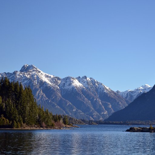 ff003434's profile picture. 