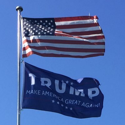 JoeReyn73819069's profile picture. 