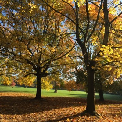 data science, machine learning, deep data analysis, computational genomics, newly turned passionate gardener
