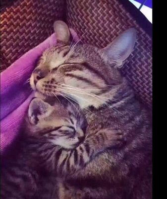 olovelytoo's profile picture. 삶을 알아가는중인 이십대여성입니다 서로 소통해요 😊 삶이 처음이라 미숙합니다