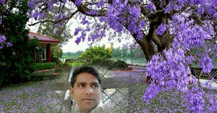 SachinS92808236's profile picture. filmy actrs