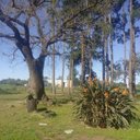 Lorena Galarza - @LorenaG39812082 - Twitter